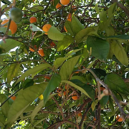 Seaesta Vasiliki 3 Apartamento